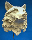 Loup Arctic "masque"